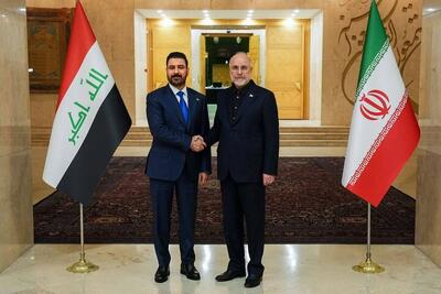  نخست‌وزیر عراق با رییس مجلس دیدار کرد