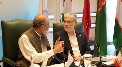 در دیدار سیمای صراف با وزیر علوم پاکستان چه گذشت؟