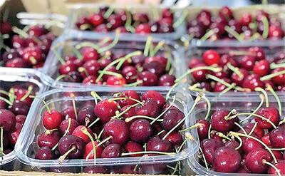  قیمت انگور و گیلاس به سقف چسبید!