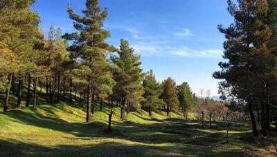 لویزان، مقصدی سبز در شمالشرق تهران