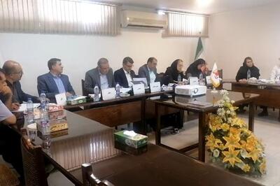  نقشه راه «غناب» برای دوران تازه؛ از تولید بدون کارخانه تا ورود به صنعت برنج ، دارو و سرمایه‌گذاری در حوزه نیروگاه خورشیدی