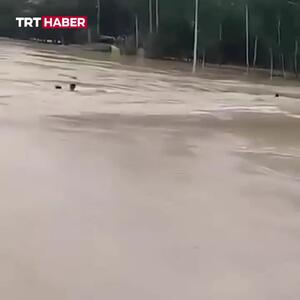  سیل پل و مردم روی آن را با خود برد