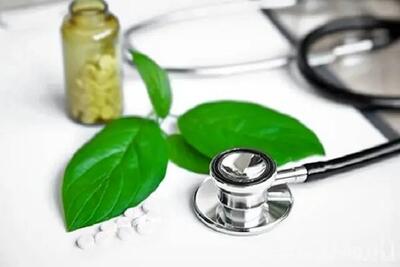 پیشتازی ایران در کارگروه طب سنتی بریکس