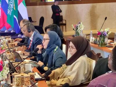  دیپلماسی فعال سلامت ایران در نشست بریکس