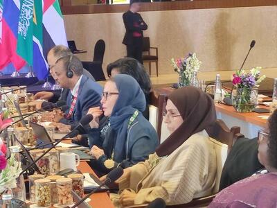  دیپلماسی فعال سلامت ایران در نشست بریکس