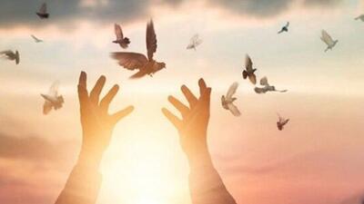 آزادی یک محکوم به قصاص در قم در پویش «به عشق رهبر شهید»