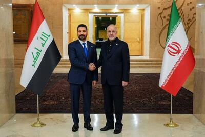 نخستوزیر عراق با رییس مجلس دیدار کرد