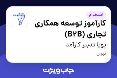  استخدام کارآموز توسعه همکاری تجاری (B2B) در پویا تدبیر کارآمد