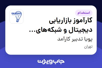 استخدام کارآموز بازاریابی دیجیتال و شبکههای اجتماعی (Digital Marketing Intern) در پویا تدبیر کارآمد