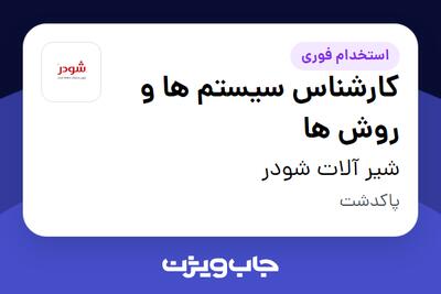  استخدام کارشناس سیستم ها و روش ها در شیر آلات شودر