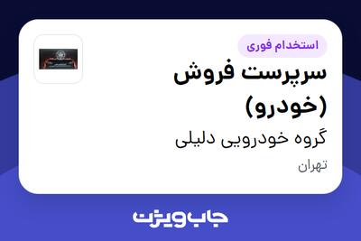 استخدام سرپرست فروش (خودرو) در گروه خودرویی دلیلی