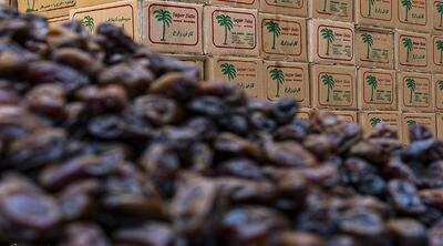  یک اتفاق مهم در بازار خرما / قیمت هر کیلو مضافتی به ۲۴۰ هزار تومان رسید