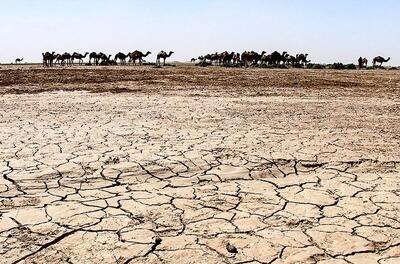 بستر خشکیده جازموریان کانون ریزگردها در جنوب کرمان