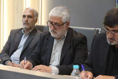   ساماندهی ناوگان تاکسیرانی در تدوین طرح تفصیلی ضروری است