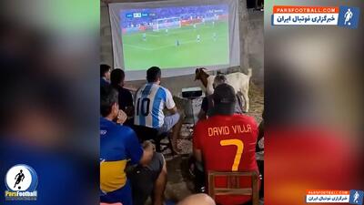 مزاحمت یک بز برای هواداران آرژانتین در پخش زنده فینال جام جهانی مقابل اسپانیا
