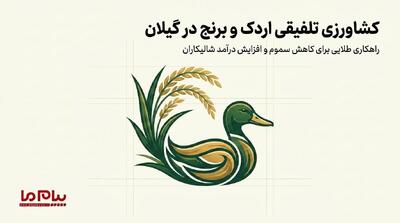  کشاورزی تلفیقی اردک و برنج
