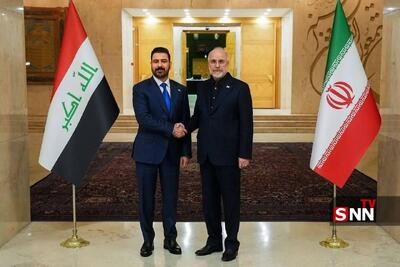  نخست وزیر عراق با رییس مجلس دیدار کرد