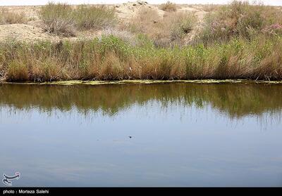  گاوخونی سهم مستقل آب می‌خواهد - تسنیم