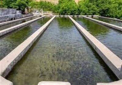  توسعه آبزی‌پروری در سیستان وبلوچستان؛ از تولید بچه‌ماهی تا احیای هامون - تسنیم