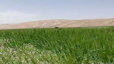 کشف زمین خواری ۷۲ میلیارد ریالی در آق قلا