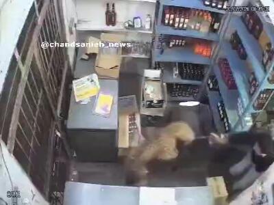 حمله پلنگ وحشی به مردی داخل فروشگاه در هند