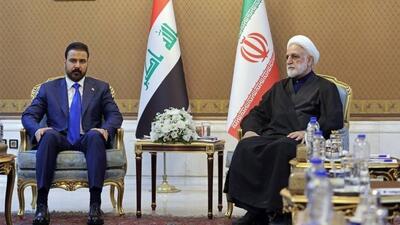  ایران هیچ خصومتی با همسایگانش ندارد/ آمریکا راهی جز عقب نشینی ندارد