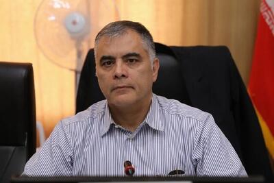 وزیر نفت: بخشی عمده برق عراق از محل صادرات گاز ایران تامین میشود