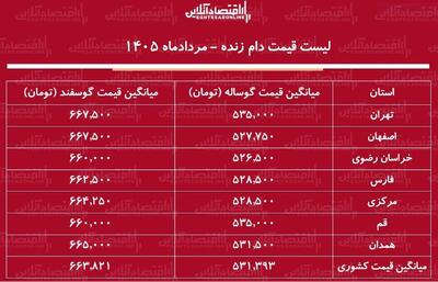  لیست قیمت دام زنده امروز ۲ مرداد ۱۴۰۵ | گوسفند زنده کیلویی چند شد؟ + جدول
