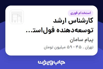  استخدام کارشناس ارشد توسعه‌دهنده فول‌استک (Full Stack) در پیام سامان