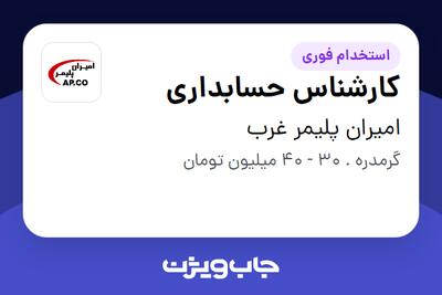  استخدام کارشناس حسابداری - خانم در امیران پلیمر غرب