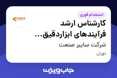 استخدام کارشناس ارشد فرآیندهای ابزاردقیق (Instrumentation Process Engineer) در شرکت سایبر صنعت