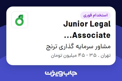 استخدام Junior Legal Associate (International Legal Department) در مشاور سرمایه گذاری ترنج