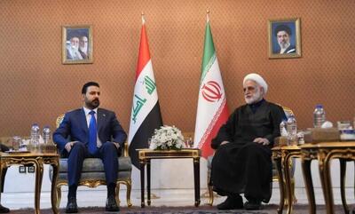  فیلم/ دیدار رئیس دستگاه قضا با الزیدی