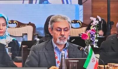 لزوم تقویت آمادگی مشترک، توسعه نوآوریهای دارویی و تقویت همکاریهای نظارتی در بریکس