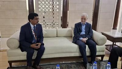  دعوت ایران از «بریکس» برای مقابله با بحران‌های طبیعی و تجاوزات مرزی