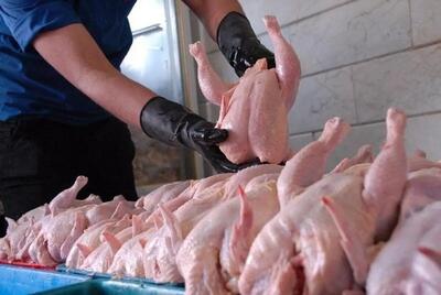 از زنگ خطر در بازار مرغ تا جدیدترین قیمت گوشت مرغ گرم