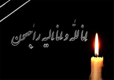  مادر شهیدان احمد و محمود داروغه در کاشان به فرزندان شهیدش پیوست - تسنیم