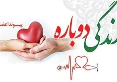 بخشش یک مادر ساروقی با اهدای عضو نفس تازه در جان چند بیمار دمید - تسنیم