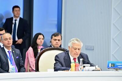 وزیرخارجه پاکستان: اعضای شانگهای در قبال مسببان تضعیف صلح در منطقه هوشیار باشند