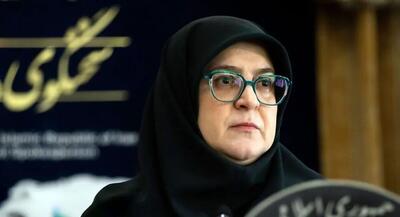 سخنگوی دولت: تغییر قیمت یا سهمیه بنزین قطعی است/ نرخ کالابرگ فعلا افزایش پیدا نخواهد کرد
