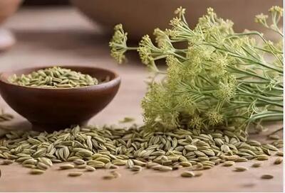 تاثیر رازیانه برای افزایش شیر مادر