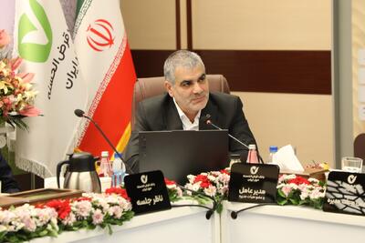 اهداف نخستین سال برنامه جامع راهبردی بانک قرضالحسنه مهر ایران با رشد ۶۲ درصدی منابع محقق شد
