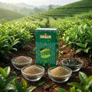  اتفاق عجیب در فضای مجازی؛ صحبت‌یک عطار درباره لاغری خبرساز شد!