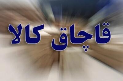 رصد قاچاق کالا در چهارمحال و بختیاری با سامانههای هوشمند