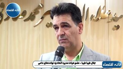  محموله‌هایی که از بندر مرسین ترکیه وارد می‌شوند، مشکلات زیادی برای تخلیه و بارگیری دارند