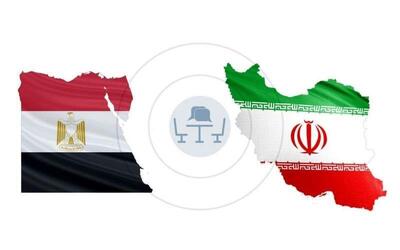 تماس تلفنی وزیر خارجه مصر با وزرای خارجه ایران و عمان درباره تنشهای اخیر