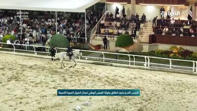  احمد شرع در مسابقات زیبایی اسب‌های اصیل عربی