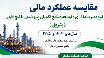  مقایسه عملکرد مالی گروه سرمایه گذاری و توسعه صنایع تکمیلی پتروشیمی خلیج فارس