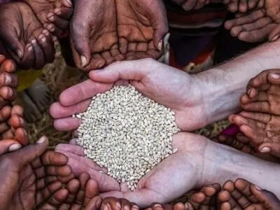  غذای سالم؛ حلقه مفقوده امنیت غذایی جهان - دیپلماسی ایرانی