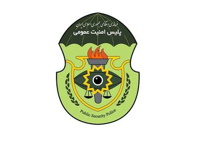 دستگیری شبکه جاسوسی مرتبط با رسانههای معاند توسط پلیس